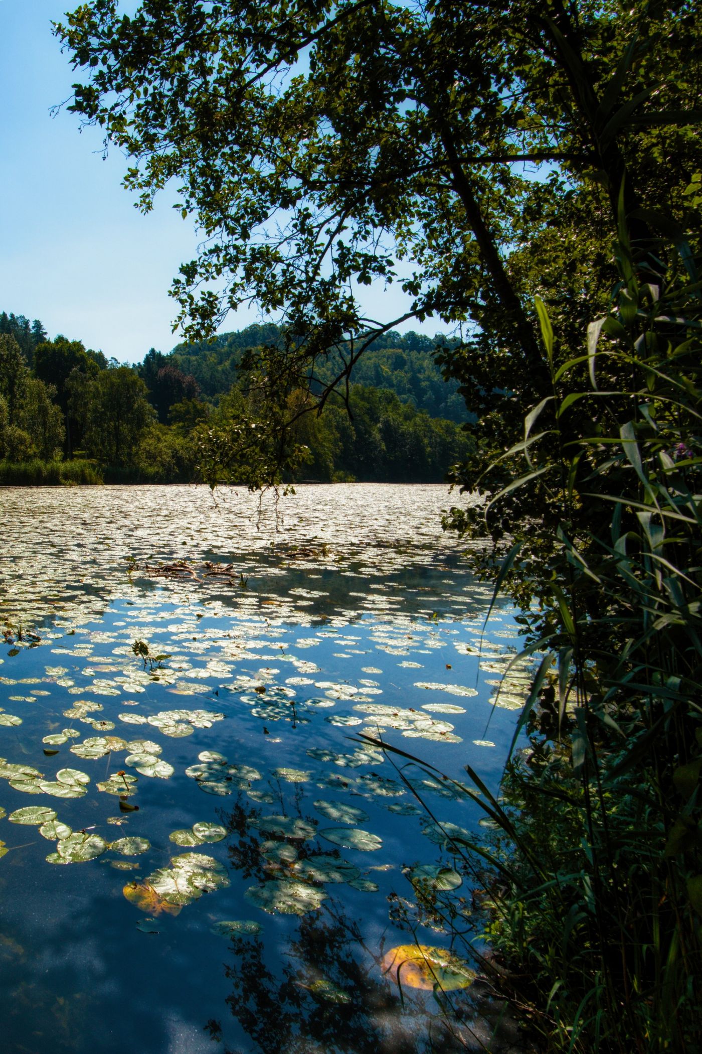 _MG_5573 (1)